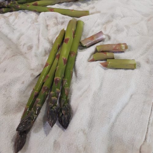 Stalks